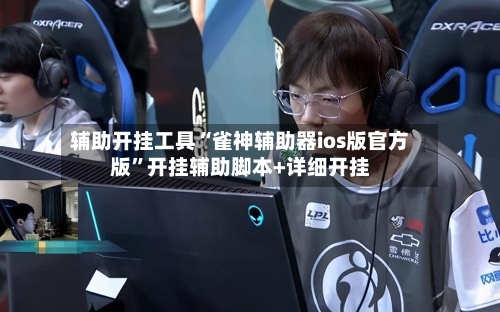 辅助开挂工具“雀神辅助器ios版官方版”开挂辅助脚本+详细开挂-第3张图片