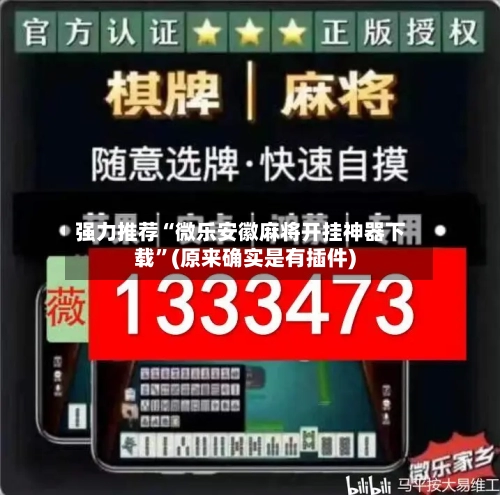 强力推荐“微乐安徽麻将开挂神器下载”(原来确实是有插件)-第2张图片