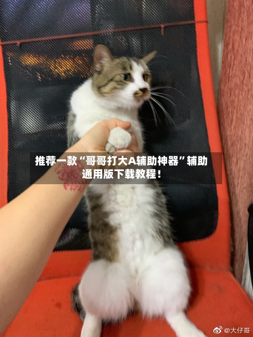 推荐一款“哥哥打大A辅助神器	”辅助通用版下载教程！-第3张图片