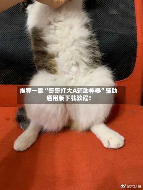 推荐一款“哥哥打大A辅助神器”辅助通用版下载教程！-第2张图片