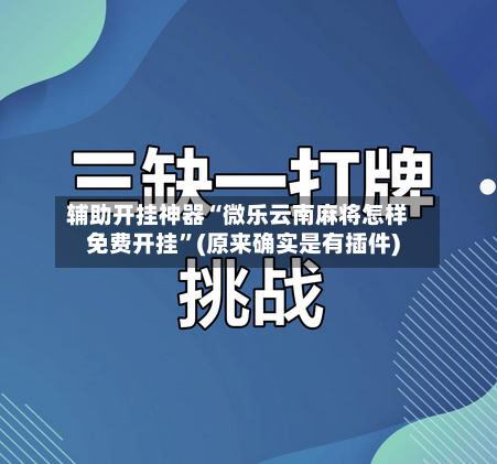 辅助开挂神器“微乐云南麻将怎样免费开挂	”(原来确实是有插件)-第2张图片