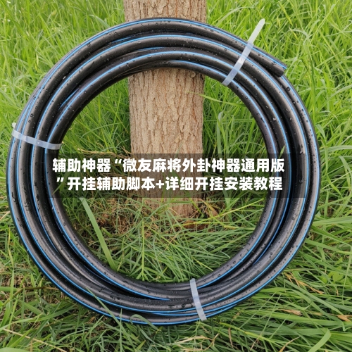 辅助神器“微友麻将外卦神器通用版”开挂辅助脚本+详细开挂安装教程-第3张图片