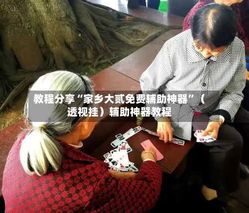 教程分享“家乡大贰免费辅助神器”（透视挂）辅助神器教程-第2张图片