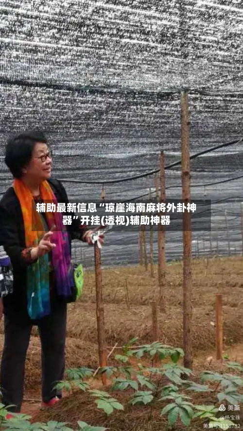 辅助最新信息“琼崖海南麻将外卦神器”开挂(透视)辅助神器-第2张图片