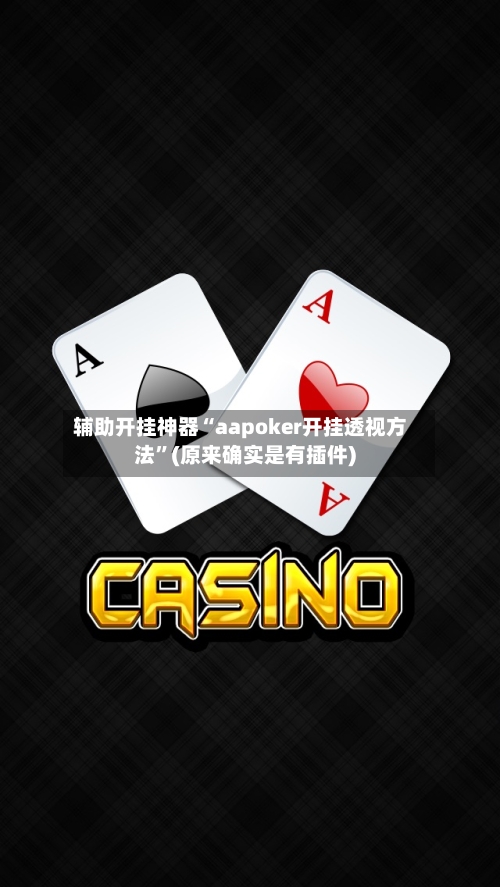辅助开挂神器“aapoker开挂透视方法”(原来确实是有插件)-第2张图片