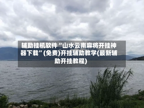 辅助挂机软件“山水云南麻将开挂神器下载”(免费)开挂辅助教学(最新辅助开挂教程)-第3张图片