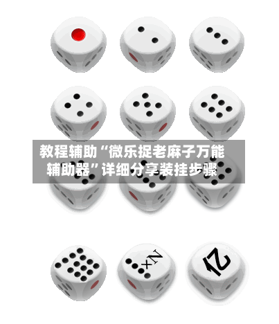 教程辅助“微乐捉老麻子万能辅助器”详细分享装挂步骤-第2张图片