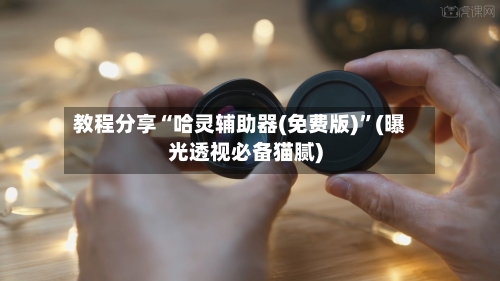 教程分享“哈灵辅助器(免费版)”(曝光透视必备猫腻)-第2张图片