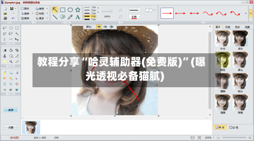 教程分享“哈灵辅助器(免费版)”(曝光透视必备猫腻)