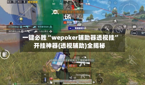 一键必胜“wepoker辅助器透视挂”开挂神器{透视辅助}全揭秘-第2张图片