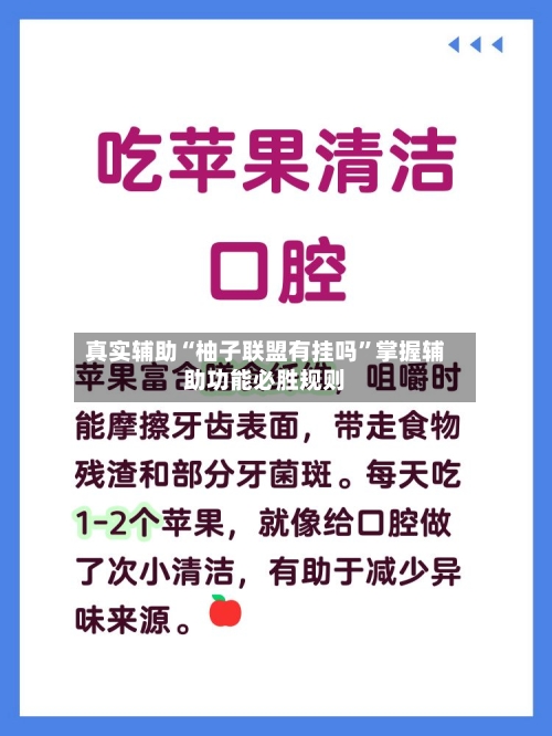真实辅助“柚子联盟有挂吗”掌握辅助功能必胜规则-第2张图片