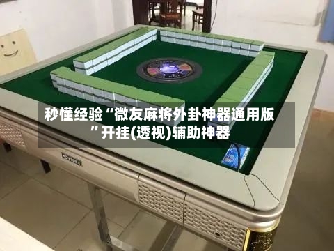 秒懂经验“微友麻将外卦神器通用版”开挂(透视)辅助神器-第3张图片