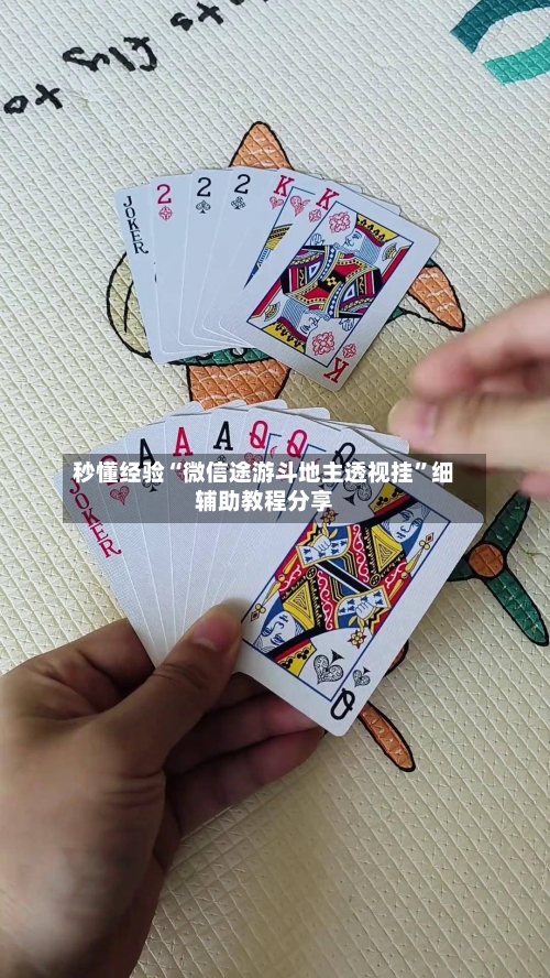 秒懂经验“微信途游斗地主透视挂”细辅助教程分享-第3张图片