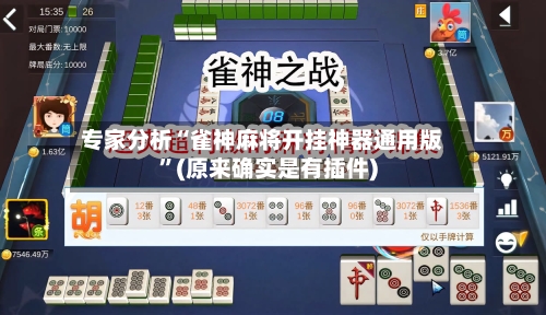 专家分析“雀神麻将开挂神器通用版	”(原来确实是有插件)-第2张图片