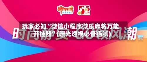 玩家必知“微信小程序微乐麻将万能开挂器”(曝光透视必备猫腻)-第2张图片
