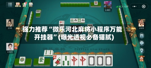 强力推荐“微乐河北麻将小程序万能开挂器”(曝光透视必备猫腻)-第2张图片