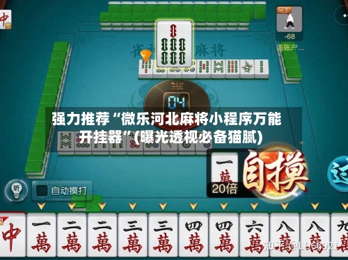 强力推荐“微乐河北麻将小程序万能开挂器”(曝光透视必备猫腻)