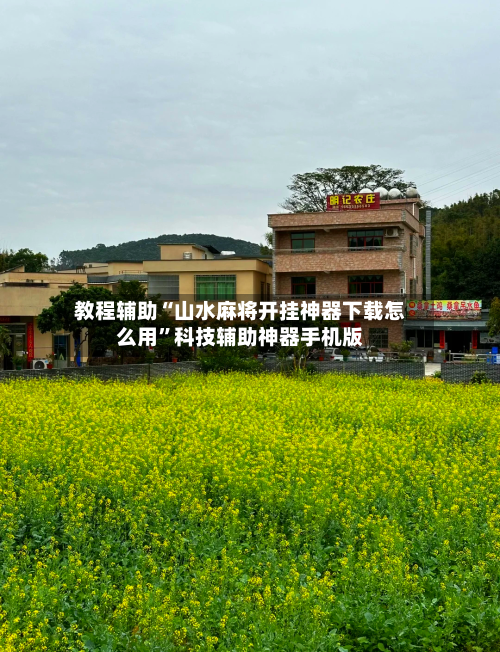 教程辅助“山水麻将开挂神器下载怎么用	”科技辅助神器手机版-第2张图片