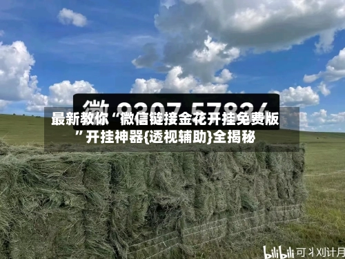 最新教你“微信链接金花开挂免费版	”开挂神器{透视辅助}全揭秘-第2张图片