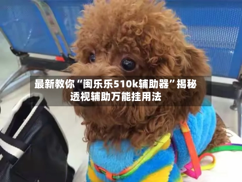 最新教你“闽乐乐510k辅助器”揭秘透视辅助万能挂用法-第2张图片