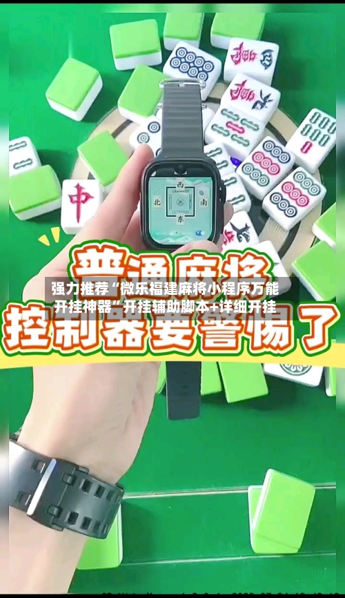 强力推荐“微乐福建麻将小程序万能开挂神器”开挂辅助脚本+详细开挂-第3张图片