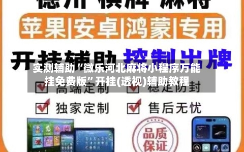 实测辅助“微乐河北麻将小程序万能挂免费版”开挂(透视)辅助教程-第2张图片