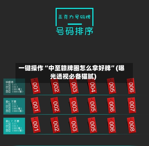 一键操作“中至赣牌圈怎么拿好牌”(曝光透视必备猫腻)-第3张图片