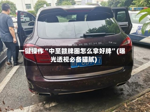 一键操作“中至赣牌圈怎么拿好牌	”(曝光透视必备猫腻)-第2张图片