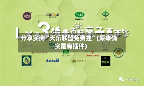 分享实测“天乐联盟免费挂	”(原来确实是有插件)-第3张图片
