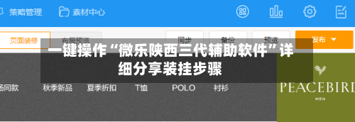 一键操作“微乐陕西三代辅助软件”详细分享装挂步骤-第3张图片