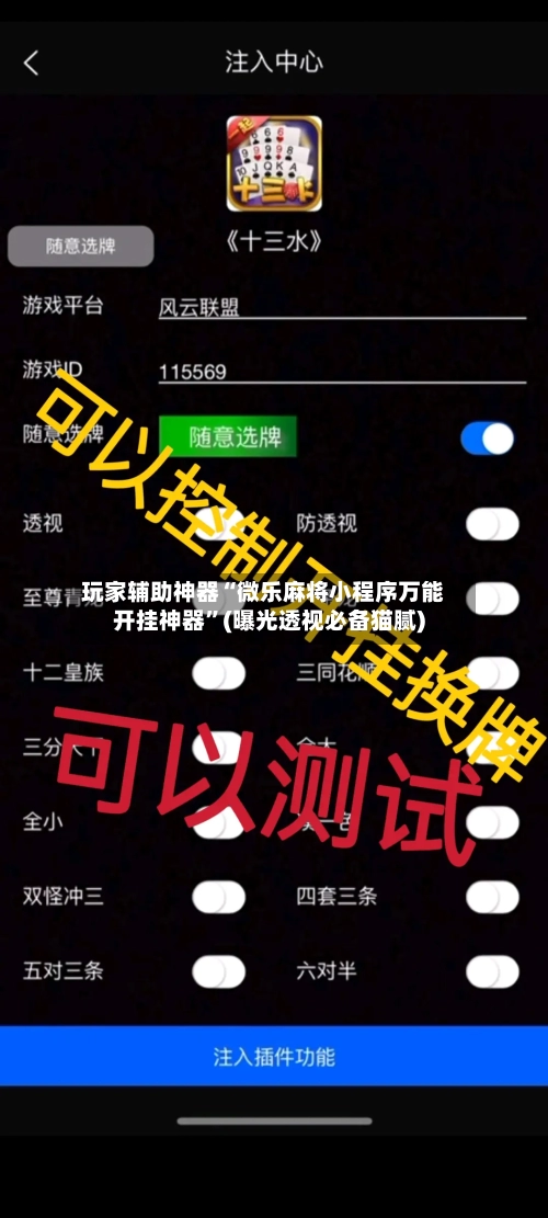 玩家辅助神器“微乐麻将小程序万能开挂神器”(曝光透视必备猫腻)-第2张图片