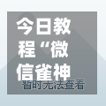今日教程“微信雀神广东麻将开挂神器”科技辅助神器手机版教程-第2张图片