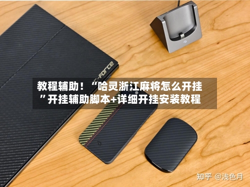 教程辅助！“哈灵浙江麻将怎么开挂	”开挂辅助脚本+详细开挂安装教程-第2张图片