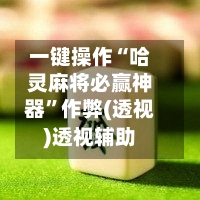 一键操作“哈灵麻将必赢神器	”作弊(透视)透视辅助-第2张图片