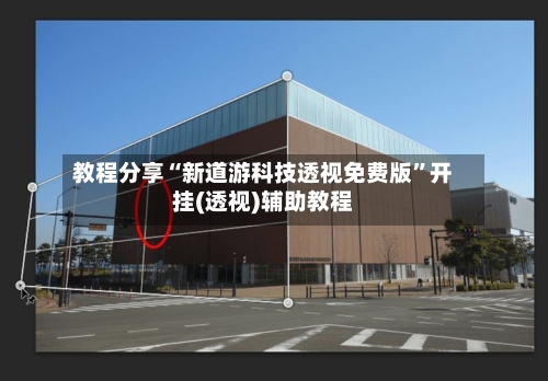 教程分享“新道游科技透视免费版”开挂(透视)辅助教程-第3张图片