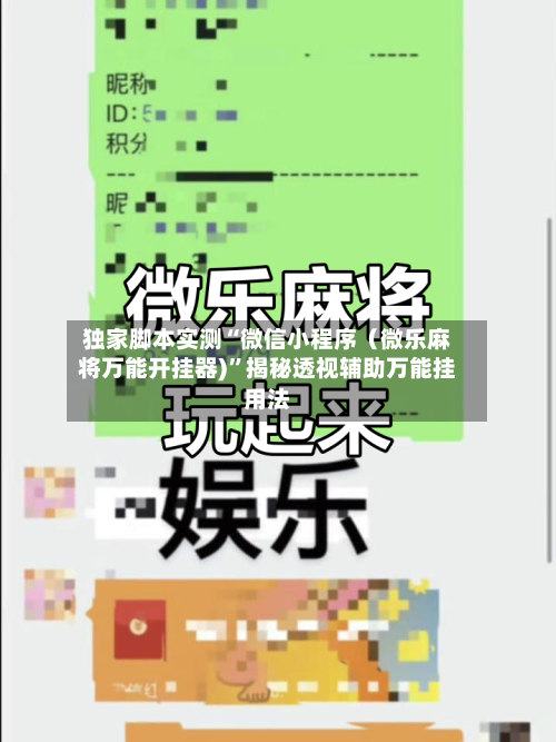 独家脚本实测“微信小程序（微乐麻将万能开挂器)”揭秘透视辅助万能挂用法-第2张图片