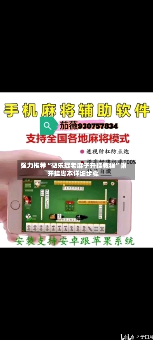 强力推荐“微乐捉老麻子开挂教程”附开挂脚本详细步骤-第3张图片