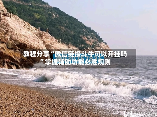 教程分享“微信链接斗牛可以开挂吗”掌握辅助功能必胜规则-第3张图片