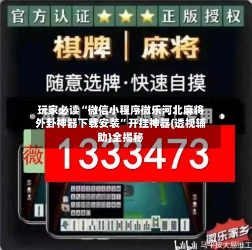 玩家必读“微信小程序微乐河北麻将外卦神器下载安装”开挂神器{透视辅助}全揭秘-第2张图片
