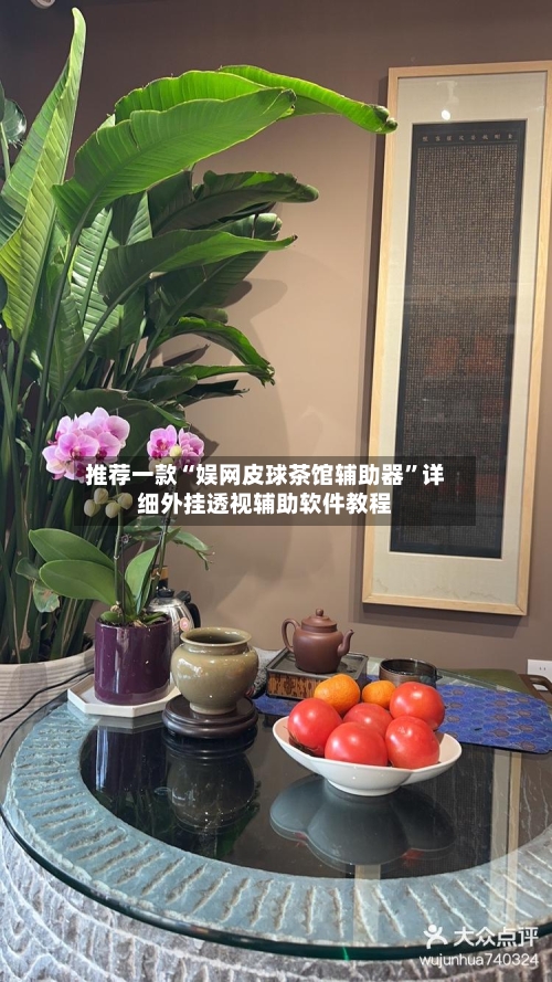 推荐一款“娱网皮球茶馆辅助器”详细外挂透视辅助软件教程-第3张图片