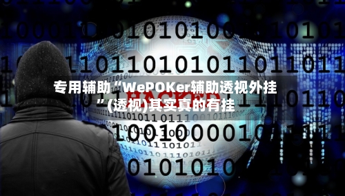 专用辅助“WePOKer辅助透视外挂	”(透视)其实真的有挂-第2张图片