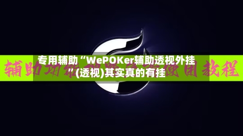 专用辅助“WePOKer辅助透视外挂”(透视)其实真的有挂
