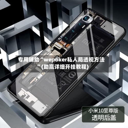 专用辅助“wepoker私人局透视方法”(助赢详细开挂教程)