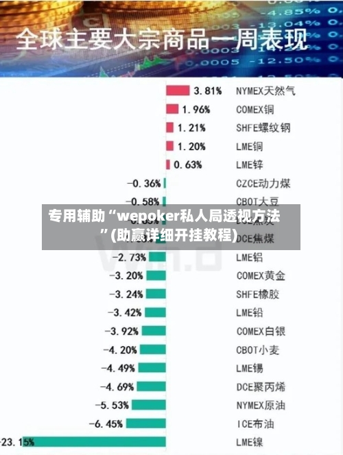 专用辅助“wepoker私人局透视方法”(助赢详细开挂教程)-第2张图片
