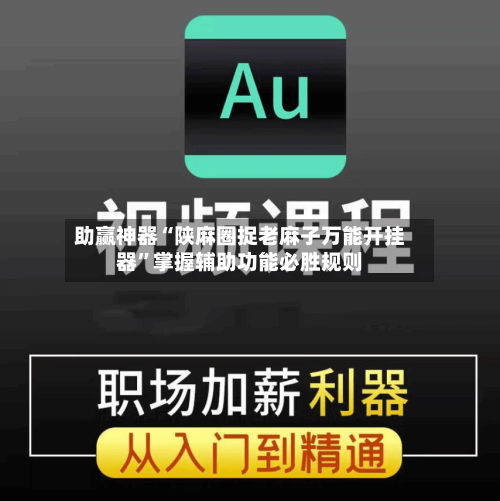 助赢神器“陕麻圈捉老麻子万能开挂器”掌握辅助功能必胜规则-第2张图片