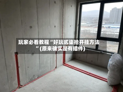 玩家必看教程“好玩贰柒拾开挂方法	”(原来确实是有插件)-第2张图片
