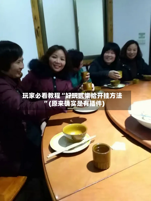 玩家必看教程“好玩贰柒拾开挂方法”(原来确实是有插件)-第3张图片