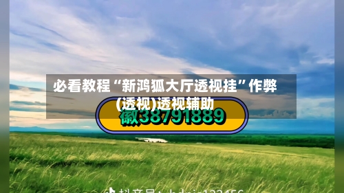 必看教程“新鸿狐大厅透视挂”作弊(透视)透视辅助-第2张图片