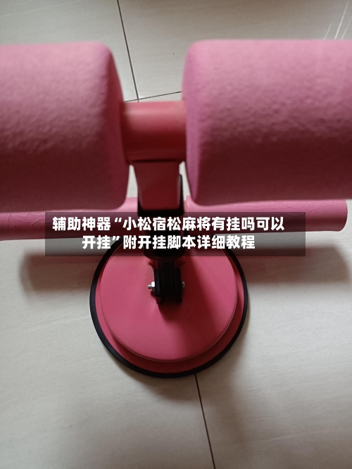辅助神器“小松宿松麻将有挂吗可以开挂”附开挂脚本详细教程