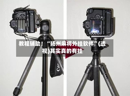 教程辅助！“扬州麻将外挂软件”(透视)其实真的有挂-第2张图片